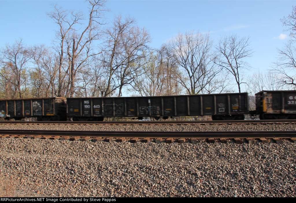 NS 190443